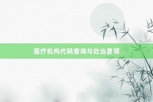 医疗机构代码查询与处治要领