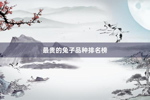 最贵的兔子品种排名榜