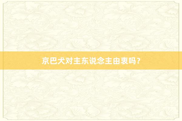 京巴犬对主东说念主由衷吗？