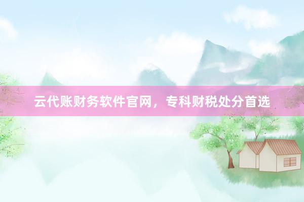 云代账财务软件官网，专科财税处分首选